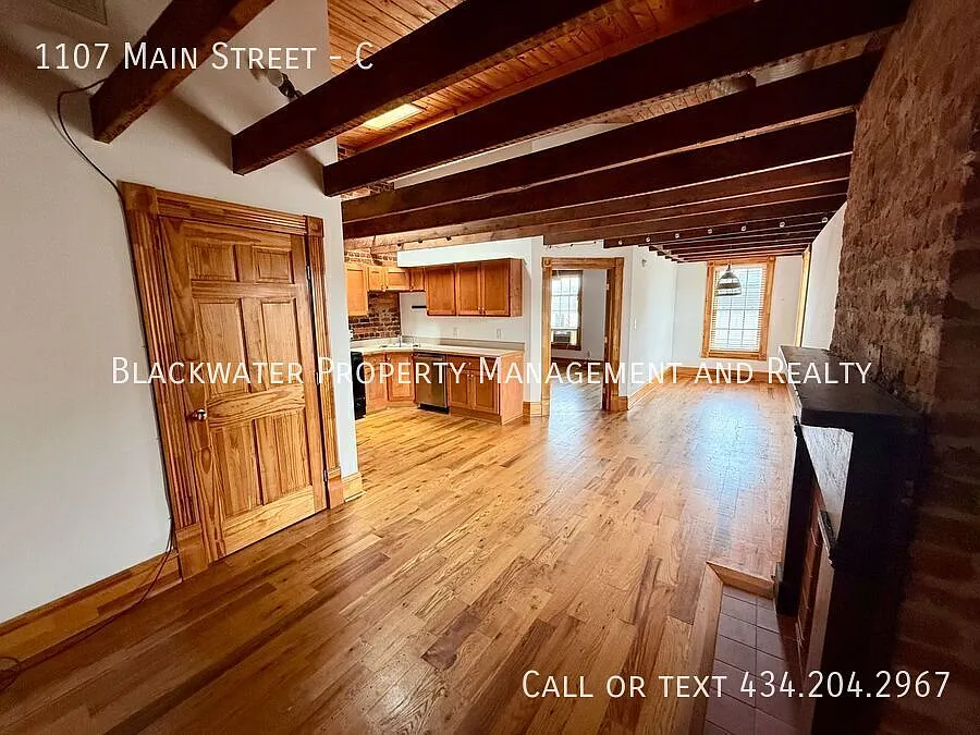 1 Bedroom Apartment in Downtown Lynchburg! — Photo 2