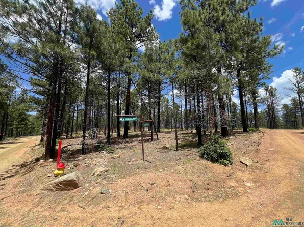 154 Calle Retiro, Rociada, NM 87742