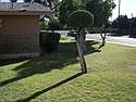 2nd image of 384 N Chippewa Pl APT A