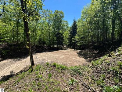 1801 E Old Mountain Rd, Cedar, MI, 49621