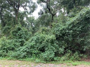 245 Wildwood Oaks Ln, Deland, FL 32720