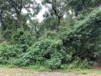 245 Wildwood Oaks Ln, Deland, FL, 32720