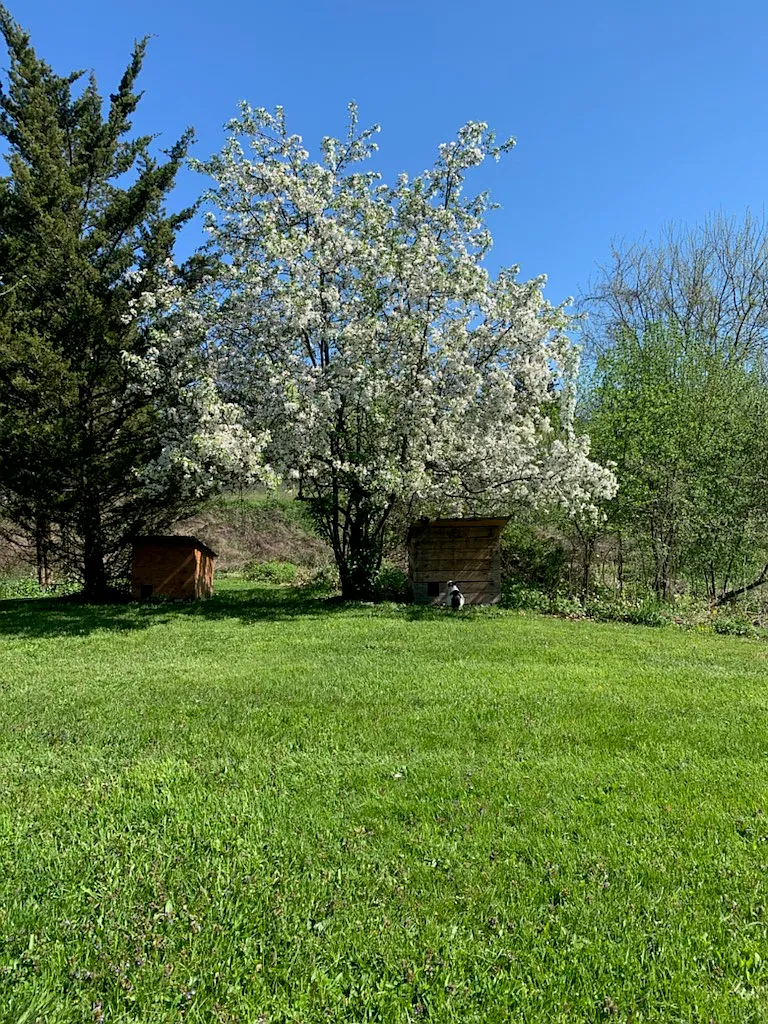 2 bed, 800 sqft, $2,200 — Photo 1