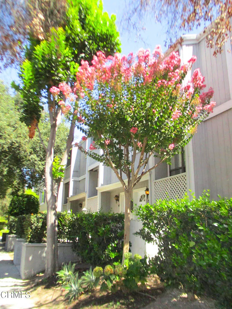 3 bed, 890 sqft, $3,600 — Photo 2