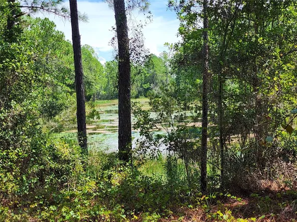 34210 Berryhill Dr #51, Webster, FL 33597