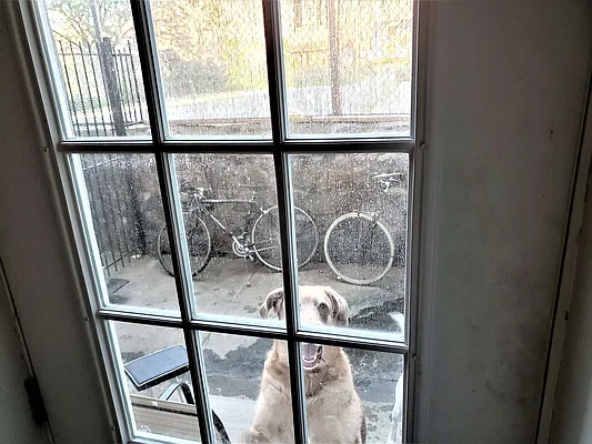 Rented by The Hamilton Group | media 23