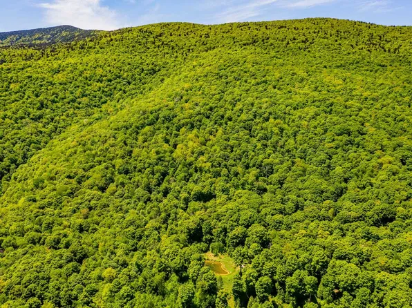 A Windsor Road, Manchester, VT 05255