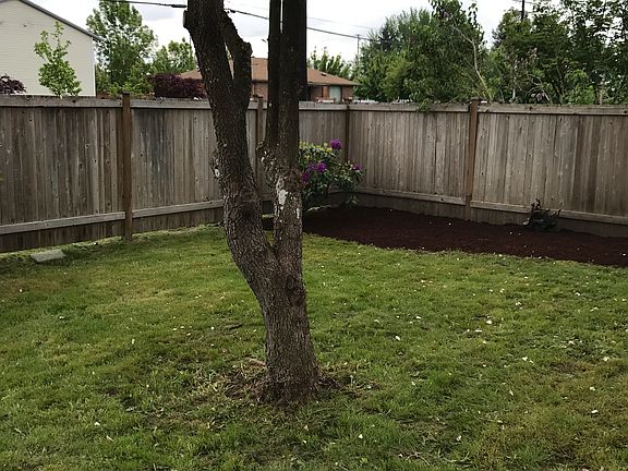 Front yard