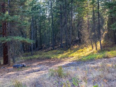 93 Nhn Us Hwy, Polson, MT, 59860