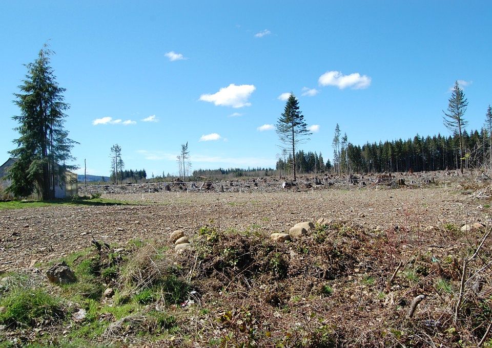 2nd image of 9999 King Richards Way Lot 39