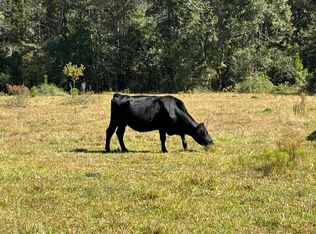 9612 Old Fort Bayou Rd, Vancleave, MS 39565