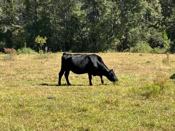 9612 Old Fort Bayou Rd, Vancleave, MS 39565