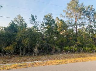 Ranchero Ct, Saint Cloud, FL 34771