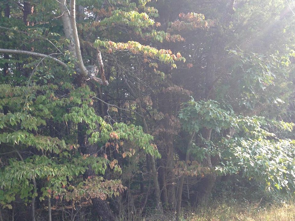 2nd image of 790 Ponds Wood Rd