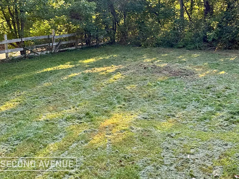 2704 Morris Majestic Rd — Photo 10