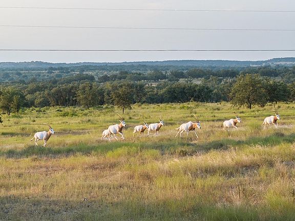 2nd image of 8577 Ranch Road 2766