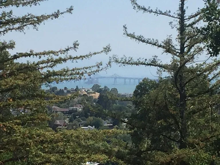 View from deck and living room.