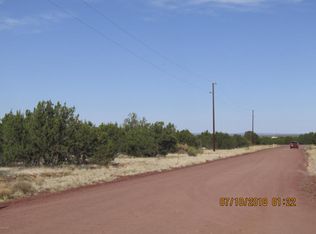 8911 Tomahawk Trl, Show Low, AZ 85901