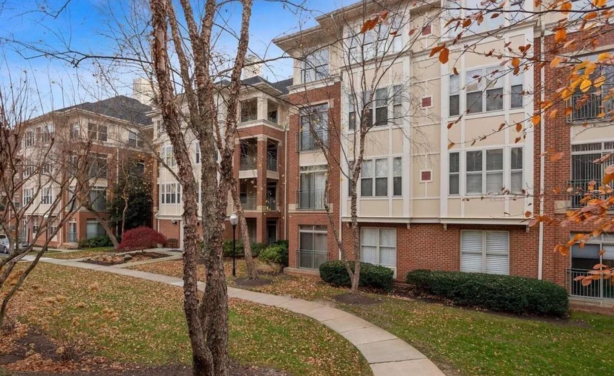 2 bed, 930 sqft, $2,500 — Photo 1