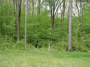 3746 Hunting Run Rd, Medina, OH 44256