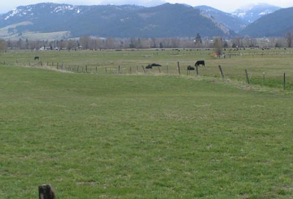 4th image of 0 Promise Rd