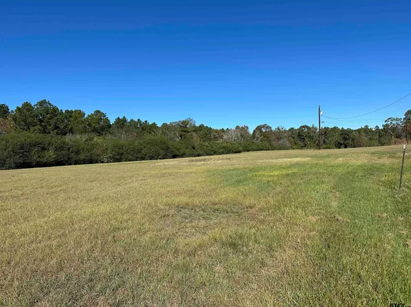 14B/ Old Spanish Trial Dr, Alto, TX 75925
