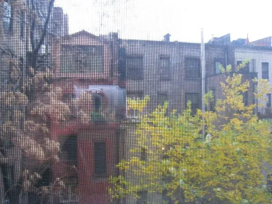 Rented by Rachel Realty | media 38