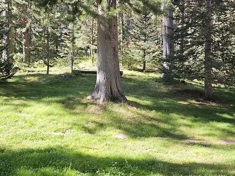 6550 Lodgepole Trl — Photo 27