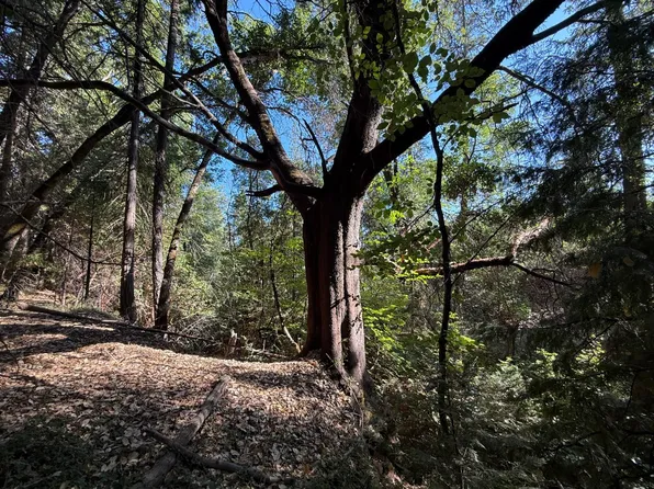 Lake City Rd, Nevada City, CA 95959