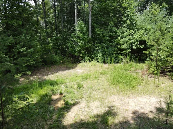 3 Scouts Overlook Ln, Morganton, GA 30560