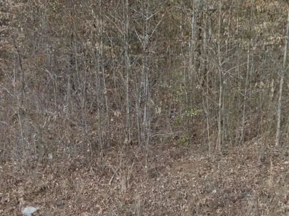 121 Sisson St, Oliver Springs, TN 37840