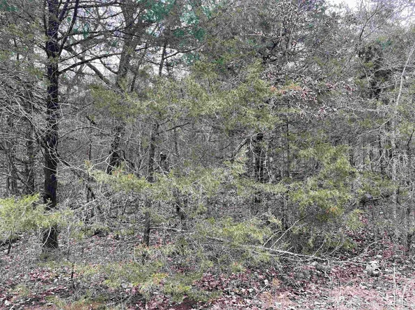 0 Buck Ridge Ln, Williford, AR 72482