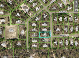 Neeld St LOT 10, Weeki Wachee, FL 34614