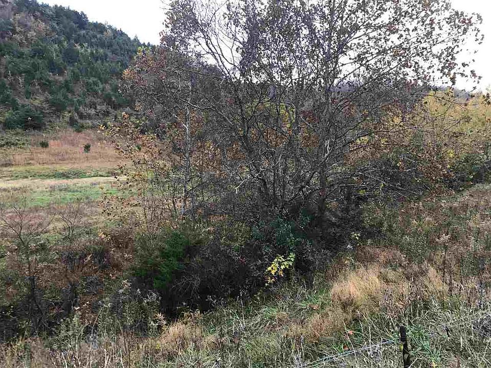 2nd image of 2775 Dulaney Rd