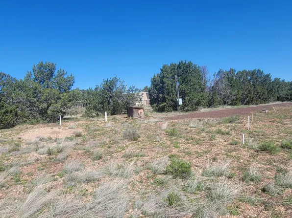 8252 N Red Lake Rd, Williams, AZ 86046