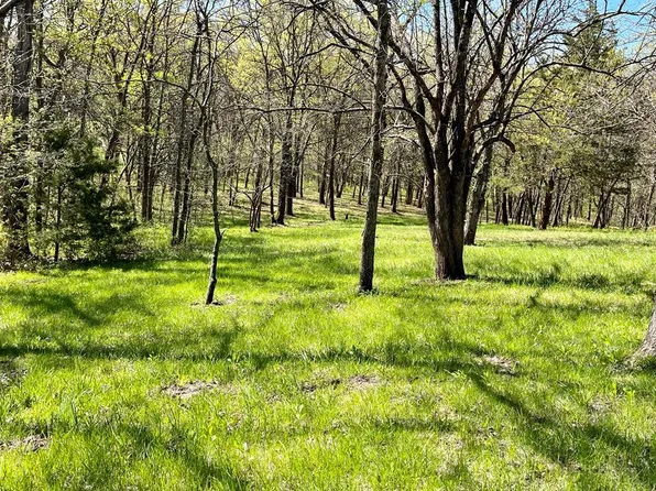 20307 Chickadee Ln, Unionville, MO 63565