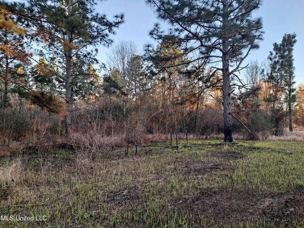 Tannertown Rd, Lucedale, MS 39452
