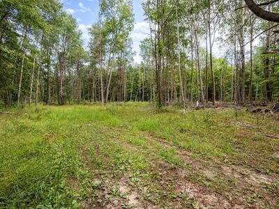 Klees Rd, Crystal, MI, 48818