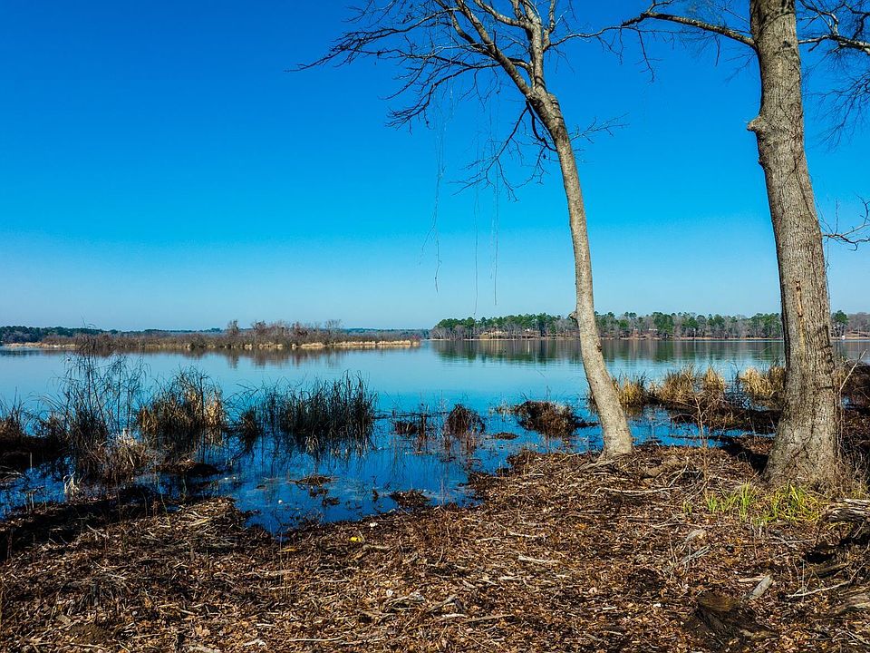 3195 Shadow Pine Dr, Larue, TX 75770 MLS 23001639 Zillow