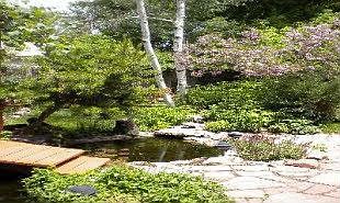 Fish Pond