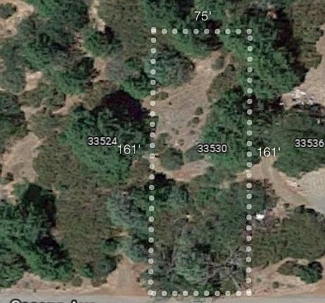 4th image of 33530 Cessna Ave
