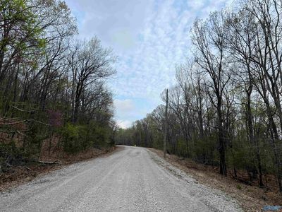 Lewis Mountain Rd, New Market, AL, 35761