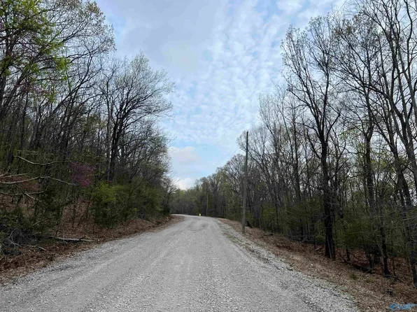Lewis Mountain Rd, New Market, AL 35761