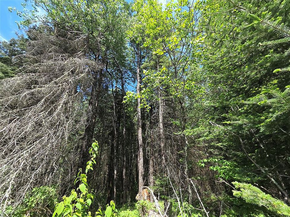 1st image of Lot 8 E Solberg Lake Road