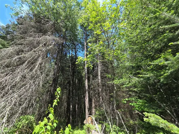 Lot 8 E Solberg Lake Road, Phillips, WI 54555