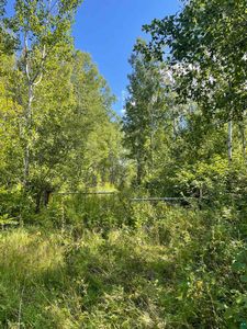 38XX Hytten Acres Trl, Duluth, MN, 55803
