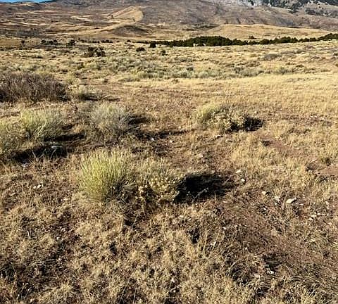 4th image of 142 Colorado Land Grazing