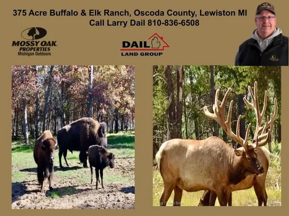 4681 Stickfort Rd, Lewiston, MI 49756