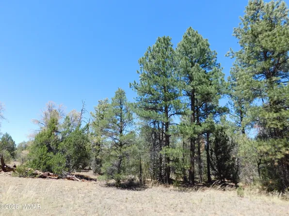 3100 Pinewood Dr, Overgaard, AZ 85933