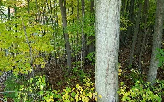 5th image of 2748 Coleman Rd